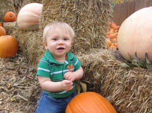 Arboretum Pumpkins