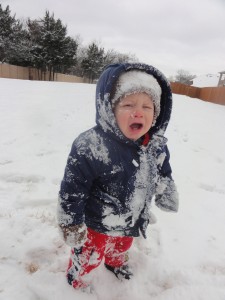 Snow Day 10