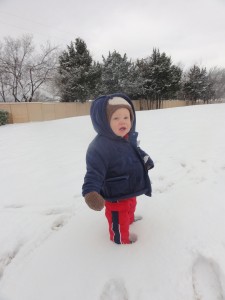 Snow Day 5