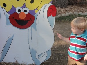 FM Pumpkin Patch 5