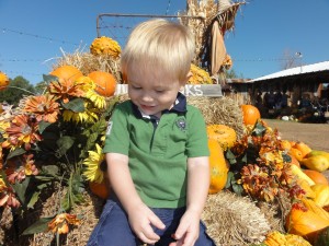 Hall's Pumpkins 2